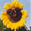 Benutzerbild von jooo**
